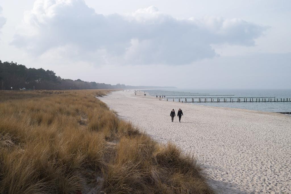 H24zingst - Apartment